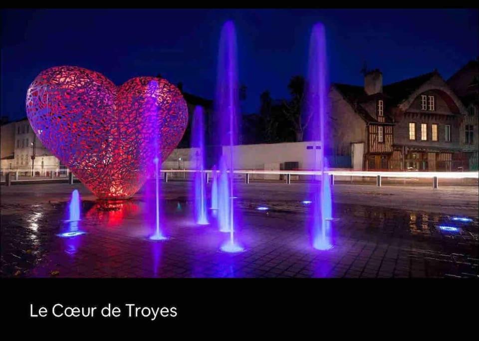 Superbe T2 De Caractere Au Centre Classe 3 Etoiles Troyes Exterior photo